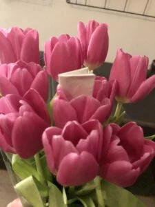 Drugs:Bloemen, Januari 2020