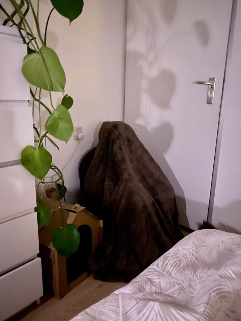 Geluk, dromen, succes en ambities, O. en ritueel met Kroepoek (B)