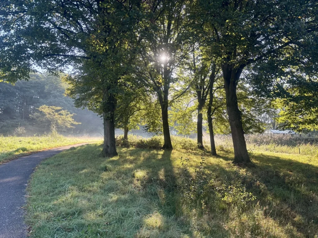 Oktober 2024, Bos, Natuur, Breda