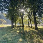 Oktober 2024, Bos, Natuur, Breda