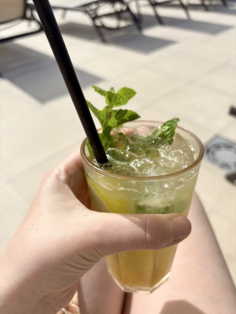 Dagboekstukjes Januari 2026 - Tenerife, Virgin Mojito, Drankje (B)