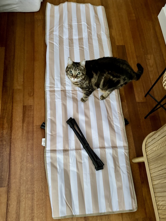 5 Zomerfavorieten (en 1 blunder), Action Strandmat met Rugsteun, 3 (B)